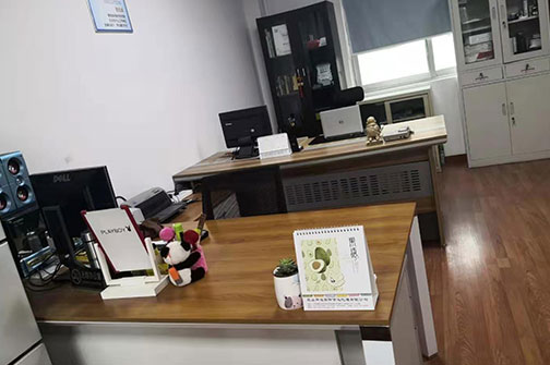 Internal environment of the company